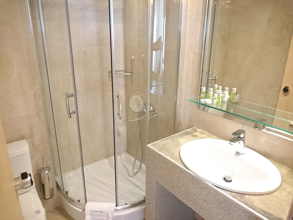 Artemis Plaza 3 * - pic #10