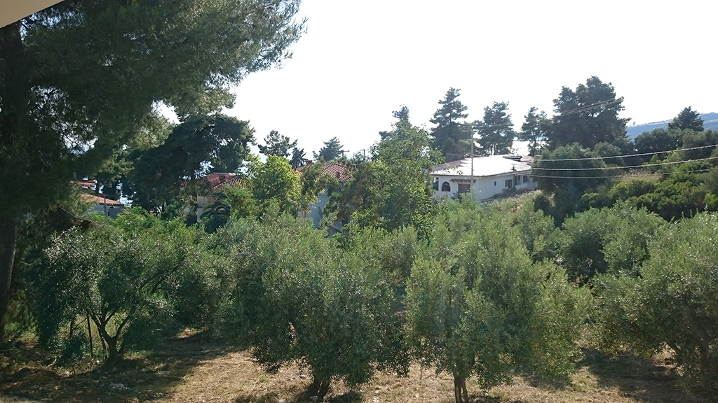 Artemis Plaza 3 * - pic #15