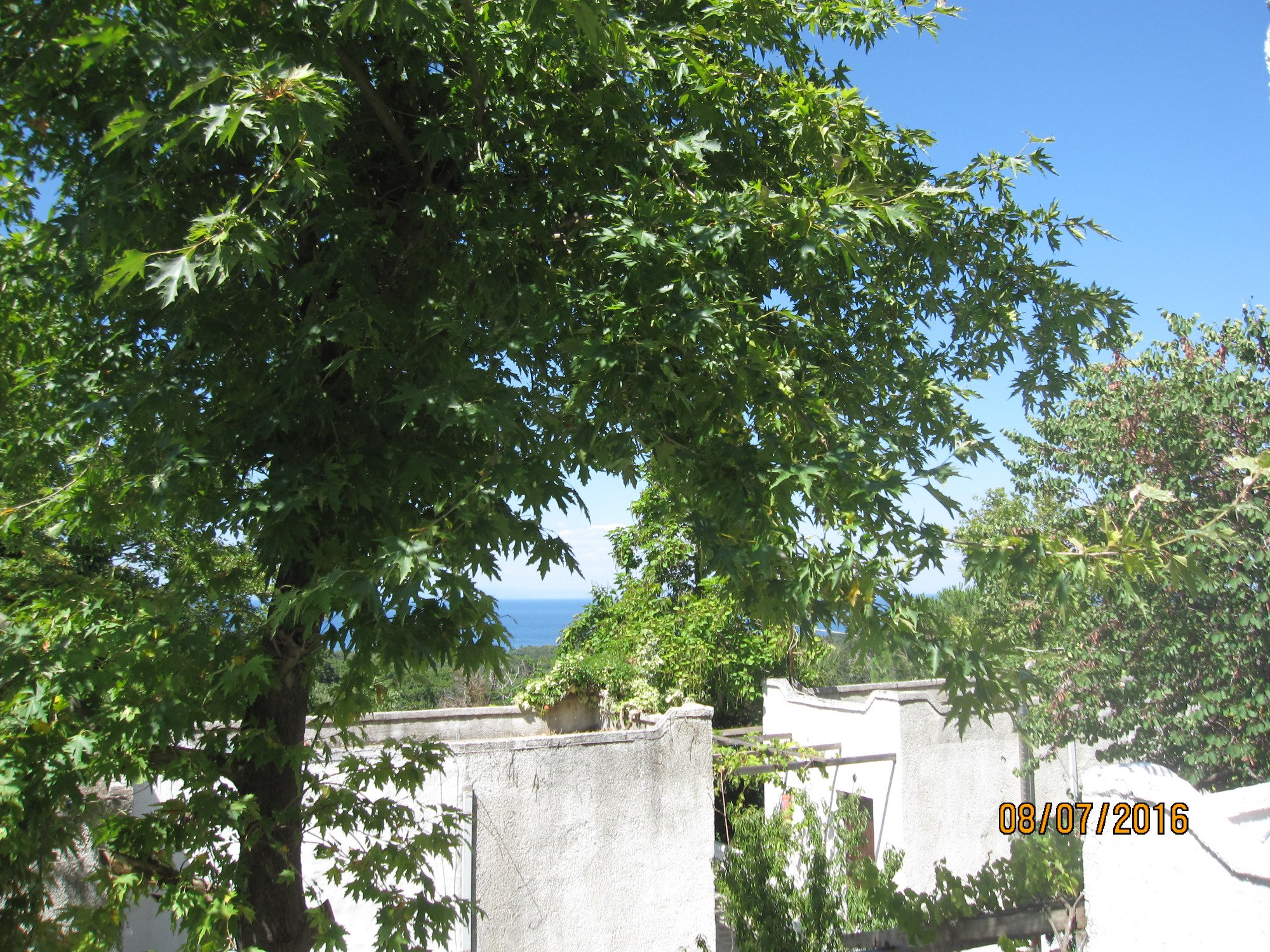 Mariva Hotel 2 * - pic #2